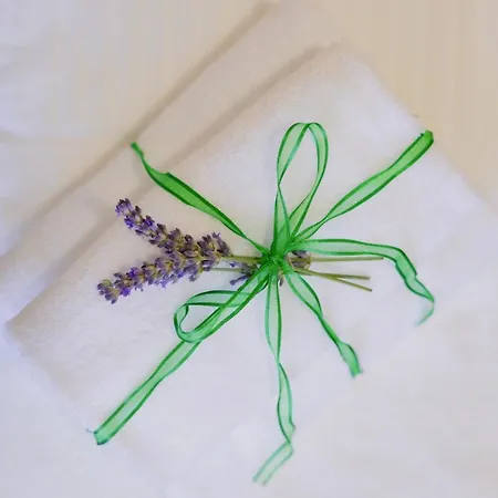 L'orologio Guest 4* 스칼레아