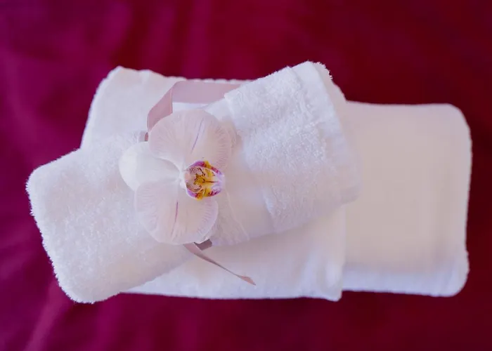 Bed & Breakfast L'orologio Guest Scalea